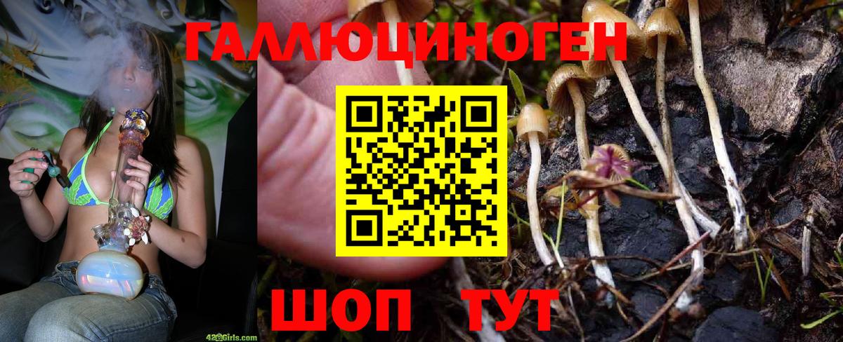 Нижний Тагил  Галлюциногенные грибы Magic Shrooms  Вход с VPN 