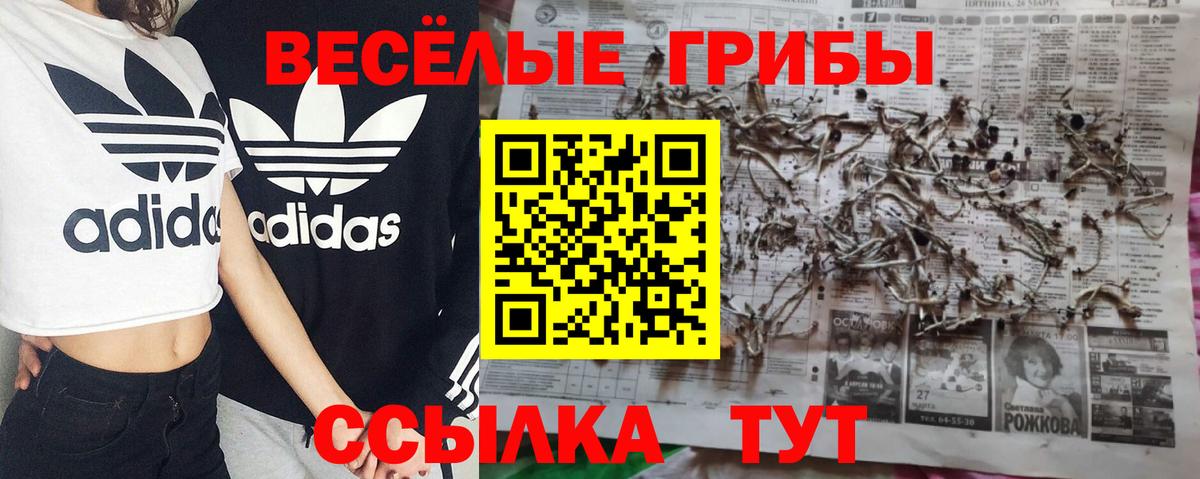 Псилоцибиновые грибы прущие грибы Нижний Тагил